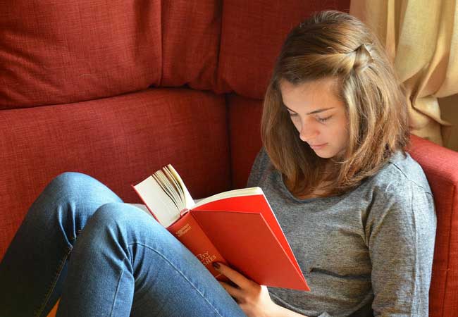 服务器攻击软件